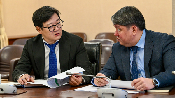 В Казахстане определили 16 приоритетных направлений для инвестиций до 2030 года