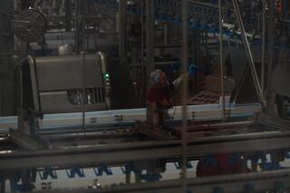 Аким области встретился с коллективом Макинской птицефабрики