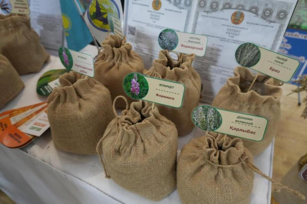 Конференция-выставка &laquo;День семян &ndash; Тұқым-2026. Атбасар&raquo; прошла в Акмолинской области