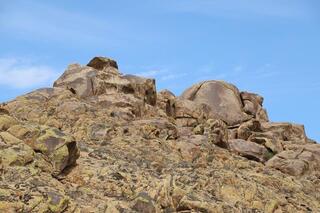 В этом году в области Жетісу создадут три экопарка