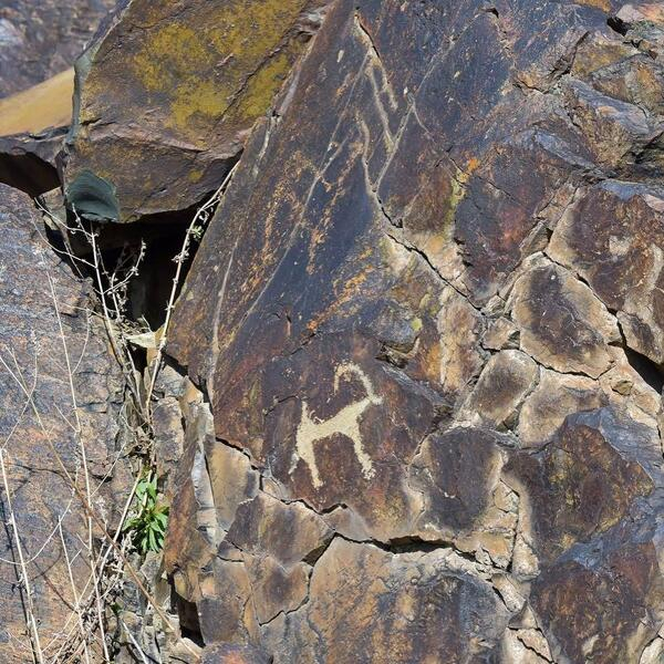 В этом году в области Жетісу создадут три экопарка