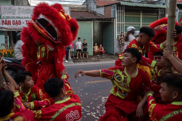Год Лошади по лунному календарю наступил в мире - яркие фото из разных стран