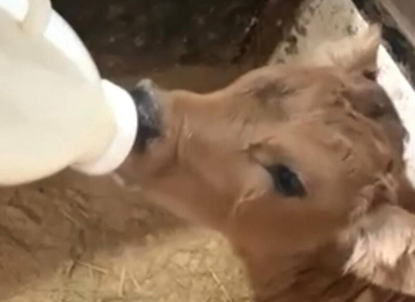 История предпринимательницы из Акмолинской области, превратившей семейные традиции в успешный бренд