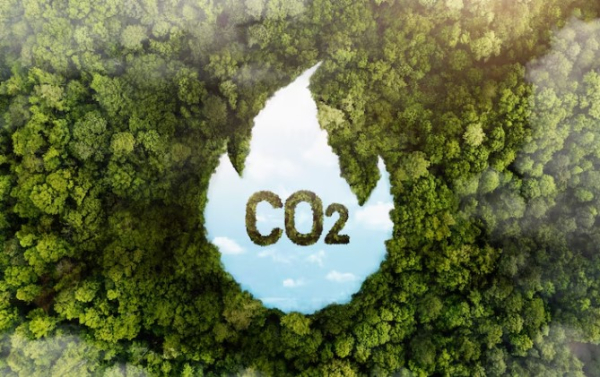 Казахстан и центральноазиатские соседи рискуют не выполнить задачи декарбонизации?