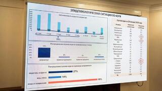 В Правительстве рассмотрели эпидситуацию по кори и охваты профилактическими прививками