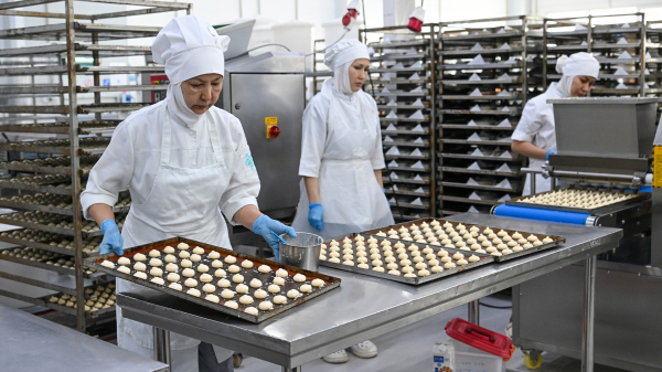 Развитие МСБ и спорта: в Астане создают базу мирового уровня