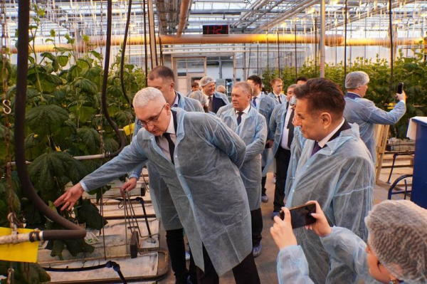 Делегация ВКО ознакомилась с работой крупнейшей теплицы в Барнауле