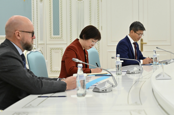 $2,6 млрд на инфраструктуру: о чём договорились Токаев и глава АБИИ