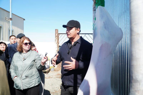 Калмыцкая порода КРС набирает популярность в Акмолинской области