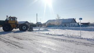 В Алтынсаринском районе прошла акция &laquo;Снежный десант&raquo;