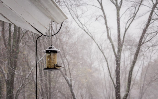 Сразу несколько опасных явлений ожидаются в Казахстане