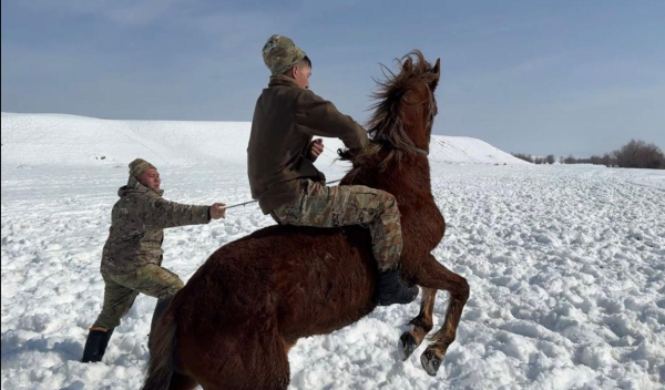 Конь и солдат: В Казахстане готовят уникальные горно-егерские подразделения