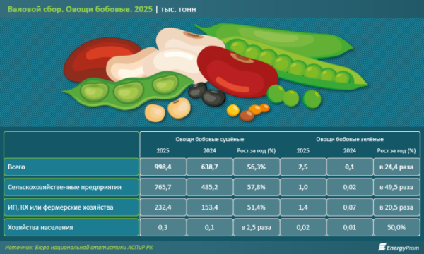 Чечевица, горох, нут на экспорт: куда &laquo;путешествуют&raquo; казахстанские бобовые?