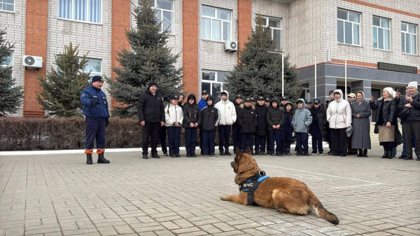 В Казахстане открыли более 50 классов &laquo;Юный спасатель&raquo;