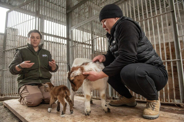 Настоящие мамочки: кто и как спасает животных в Алматинском зоопарке
