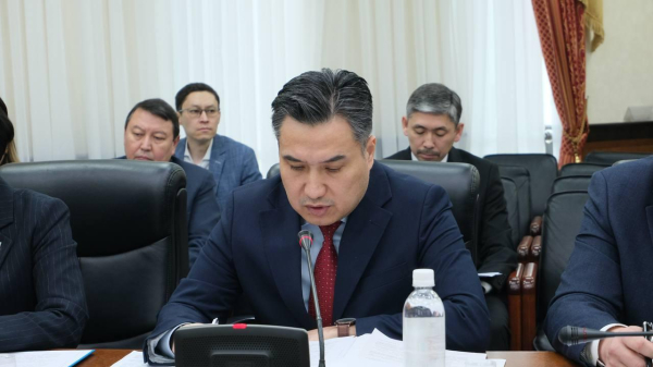 Казахстанцам предложат цифрового помощника для поиска работы