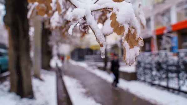 Туман, снег и дождь: прогноз погоды по городам Казахстана на 8 марта