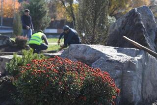 В Алматы разработают дендрологический план до 2030 года