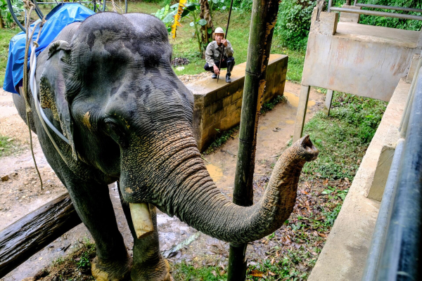 Какой сегодня праздник: 13 марта 