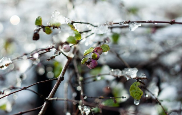 Сегодня в Казахстане — погодные качели: к чему готовиться Сегодня в Казахстане — погодные качели: к чему готовиться