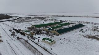 В Бурабайском районе ведется строительство крупной молочно-товарной фермы и завода по переработке молока