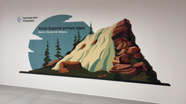 Школы Казахстана станут другими: началось внедрение нового стандарта