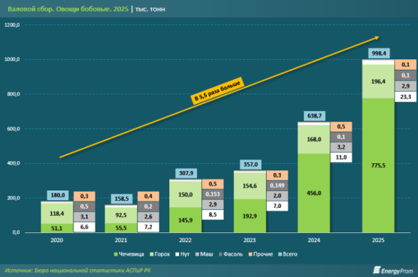 Чечевица, горох, нут на экспорт: куда &laquo;путешествуют&raquo; казахстанские бобовые?