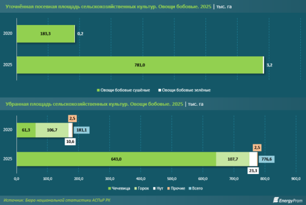 Чечевица, горох, нут на экспорт: куда &laquo;путешествуют&raquo; казахстанские бобовые?