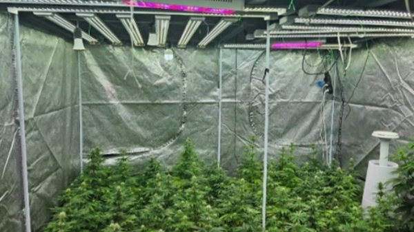 КНБ изъял 240 кг наркотиков и более 3 тонн прекурсоров КНБ изъял 240 кг наркотиков и более 3 тонн прекурсоров