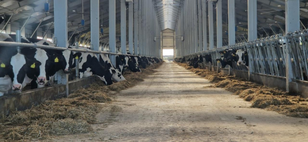 Кредиты под 6%: новые меры поддержки сельского хозяйства