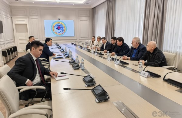 ЕАЭС: европейские предприниматели изучают рынок Казахстана