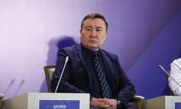 Казахстан делает ставку на сильные институты: что меняет новая Конституция