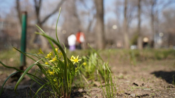 Весеннее тепло и зимний откат: какой будет погода 25 марта в регионах Весеннее тепло и зимний откат: какой будет погода 25 марта в регионах