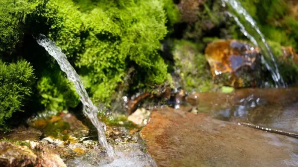 Где в Казахстане самая вкусная вода?