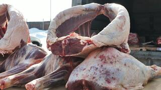 Ярмарки &laquo;Nauryz Sale&raquo; и большие скидки: что подготовили для жителей Астаны