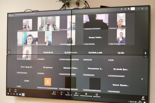 Профилактика сталкинга и бытовых правонарушений в госорганах