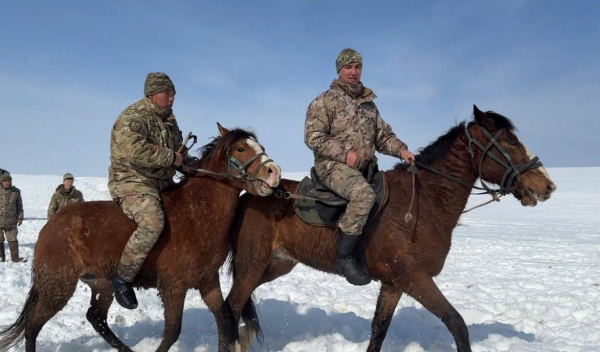 Конь и солдат: В Казахстане готовят уникальные горно-егерские подразделения