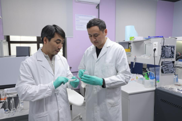 Энергия будущего: ученые Казахстана создали новый наноматериал