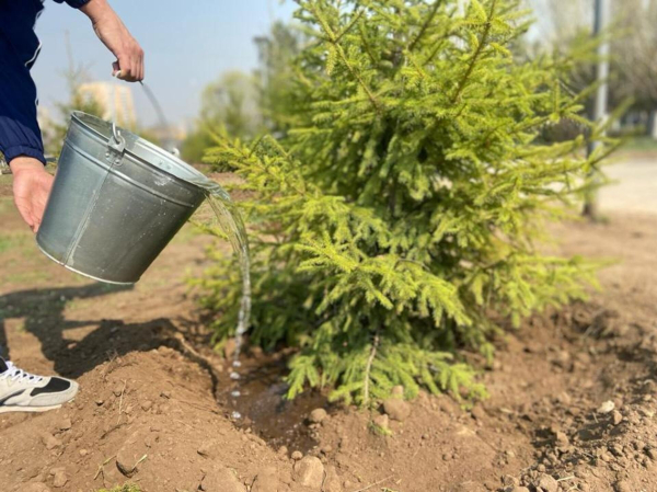 Какой сегодня праздник: 12 марта 