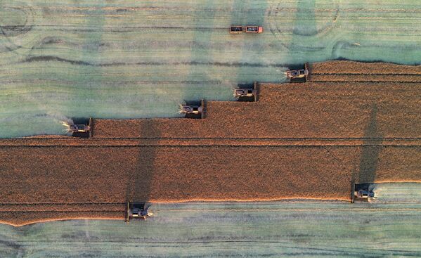 "Сердце" Арала, горбатые киты и леса Амазонки: фото к Международному дню Матери-Земли