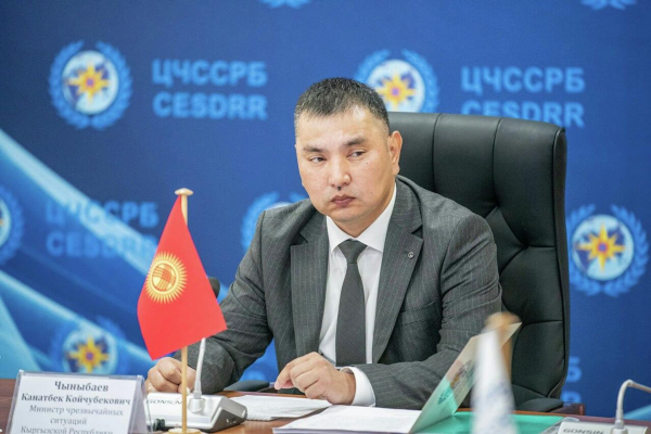 Ни одна страна не может эффективно противостоять вызовам природы в одиночку - министр ЧС