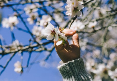 Сегодня не всем повезёт с погодой: карта рисков по регионам