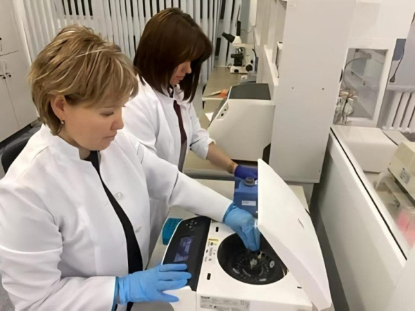 В Казахстане вывели новые засухоустойчивые сорта зерна