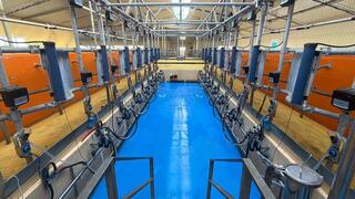 В Акмолинской области запустили современную молочную ферму на 400 голов