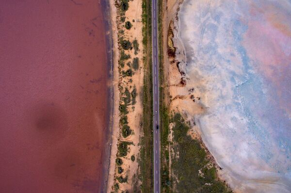 "Сердце" Арала, горбатые киты и леса Амазонки: фото к Международному дню Матери-Земли