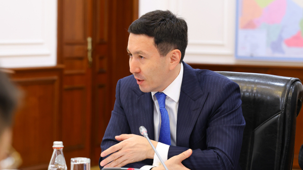 Транспорт Казахстана растет, но этого мало &mdash; позиция правительства