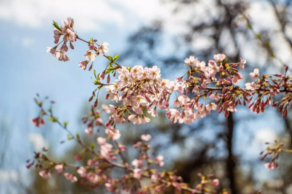 Весна разгоняется: погода в Казахстане на 13 апреля