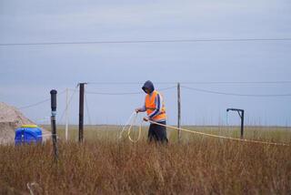 Аким Акмолинской области посетил лесопитомник в Шортандинском районе