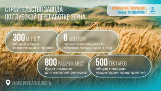 Правительством Казахстана одобрено Соглашение об инвестициях: в Акмолинской области построят завод по глубокой переработке зерна