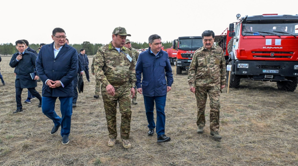 Видеомониторинг и ИИ: новые стандарты защиты лесов